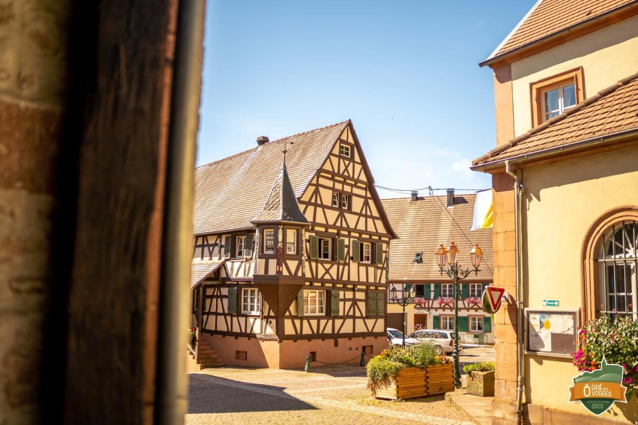 Gite O Gre Des Vosges 5 Etoiles Oberbronn, Vosges Du Nord 외부 사진