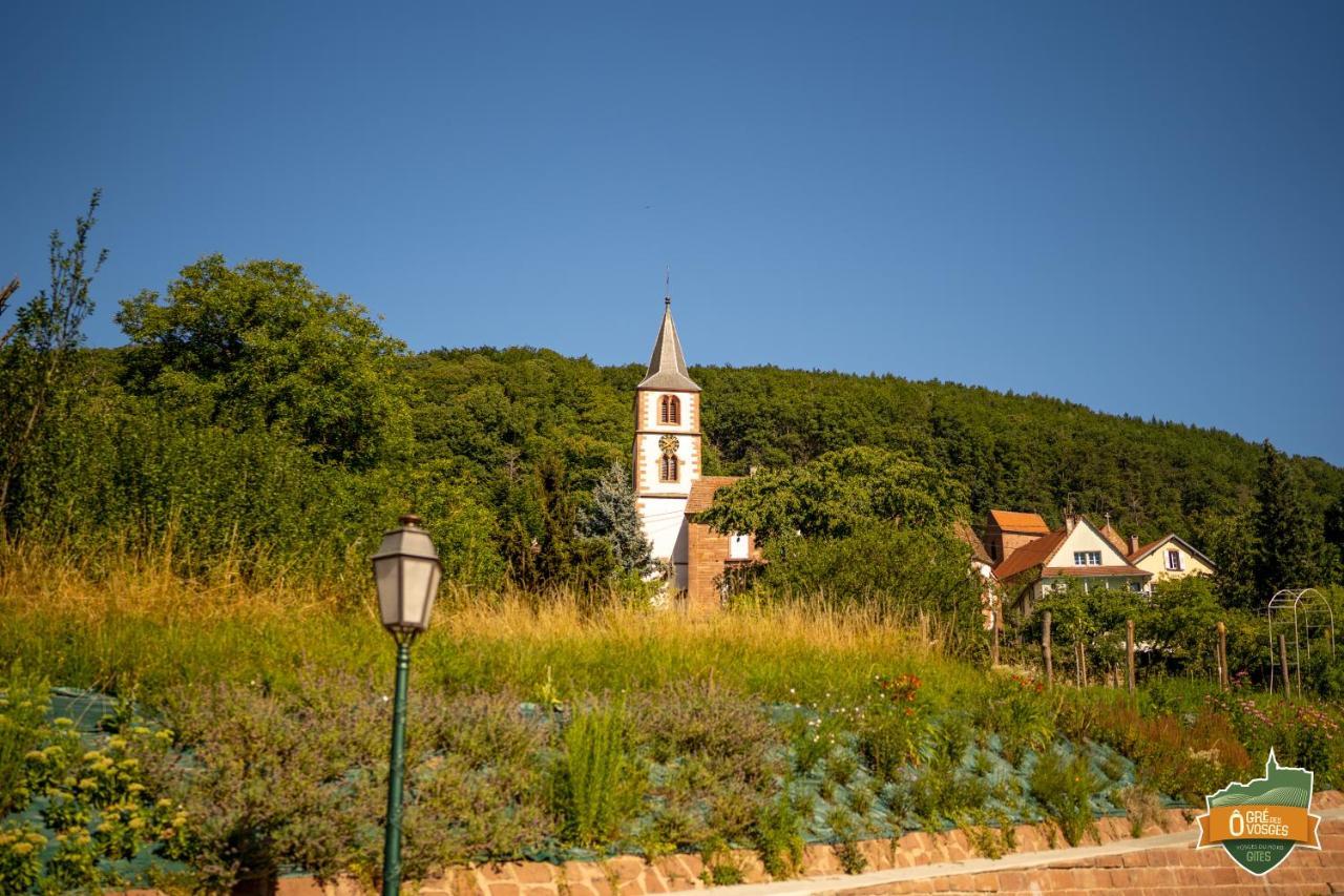 Gite O Gre Des Vosges 5 Etoiles Oberbronn, Vosges Du Nord 외부 사진