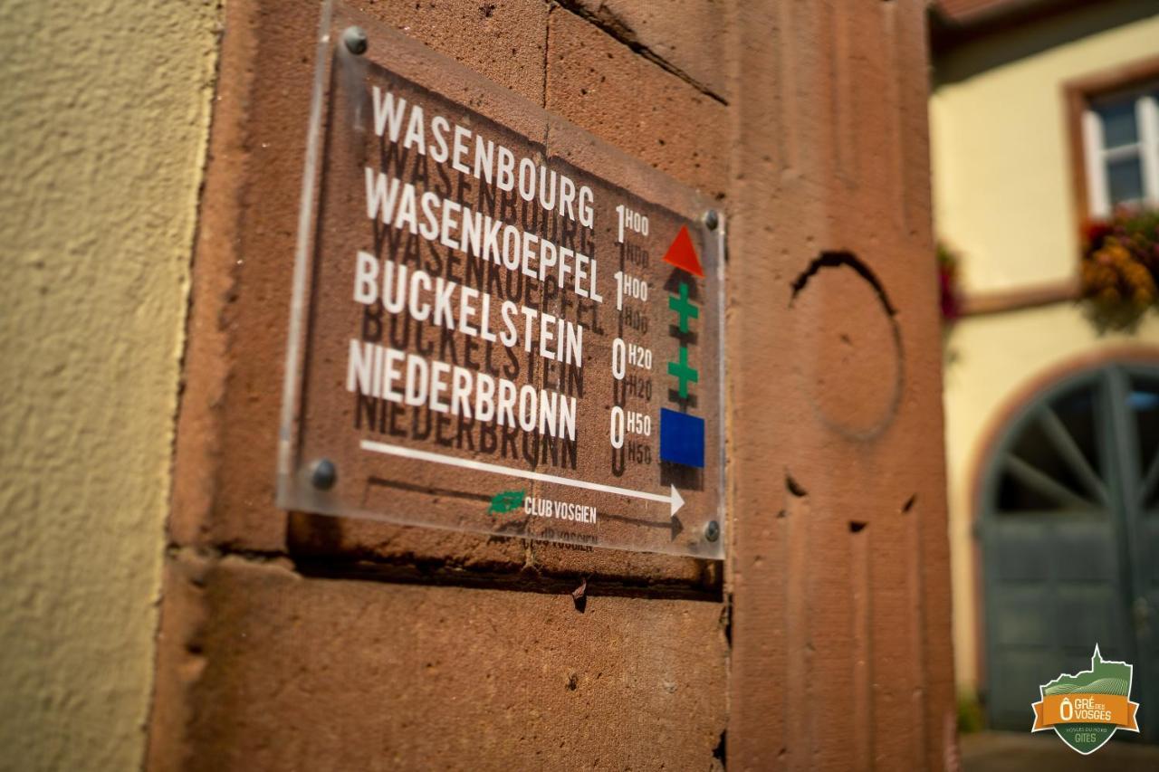 Gite O Gre Des Vosges 5 Etoiles Oberbronn, Vosges Du Nord 외부 사진