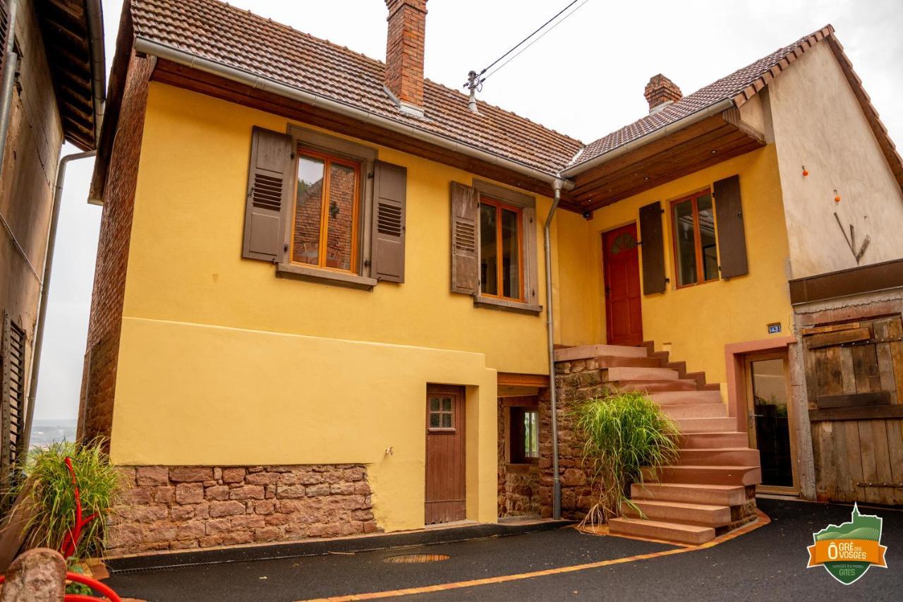 Gite O Gre Des Vosges 5 Etoiles Oberbronn, Vosges Du Nord 외부 사진