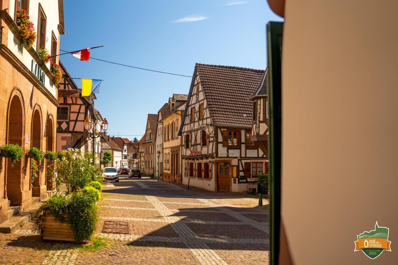 Gite O Gre Des Vosges 5 Etoiles Oberbronn, Vosges Du Nord 외부 사진