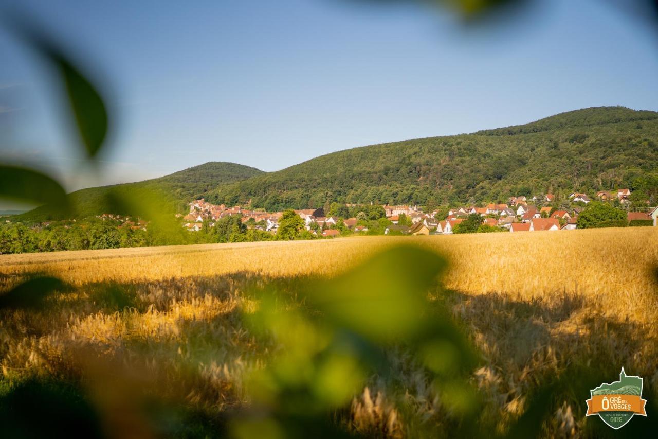 Gite O Gre Des Vosges 5 Etoiles Oberbronn, Vosges Du Nord 외부 사진